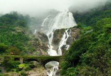 Goa Diary – Dudhsagar Waterfalls